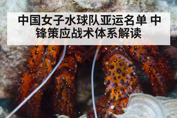 中国女子水球队亚运名单 中锋策应战术体系解读